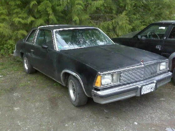 Chevrolet Malibu Estate (1981) 1